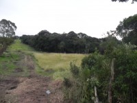 (K.A) terrenos em Mairiporã