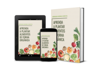 Aprenda A Plantar Alimentos De Forma Orgânica - Livres de Agrotóxicos.