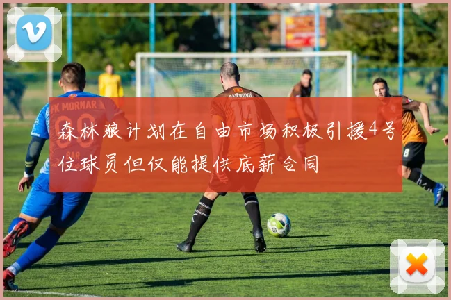 森林狼计划在自由市场积极引援4号位球员但仅能提供底薪合同
