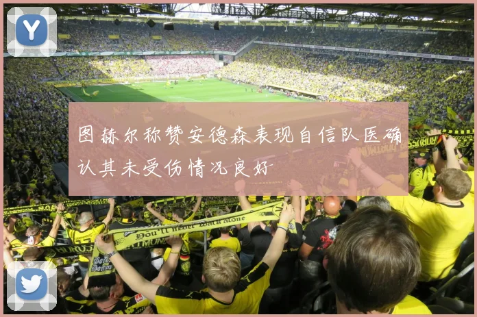 图赫尔称赞安德森表现自信队医确认其未受伤情况良好