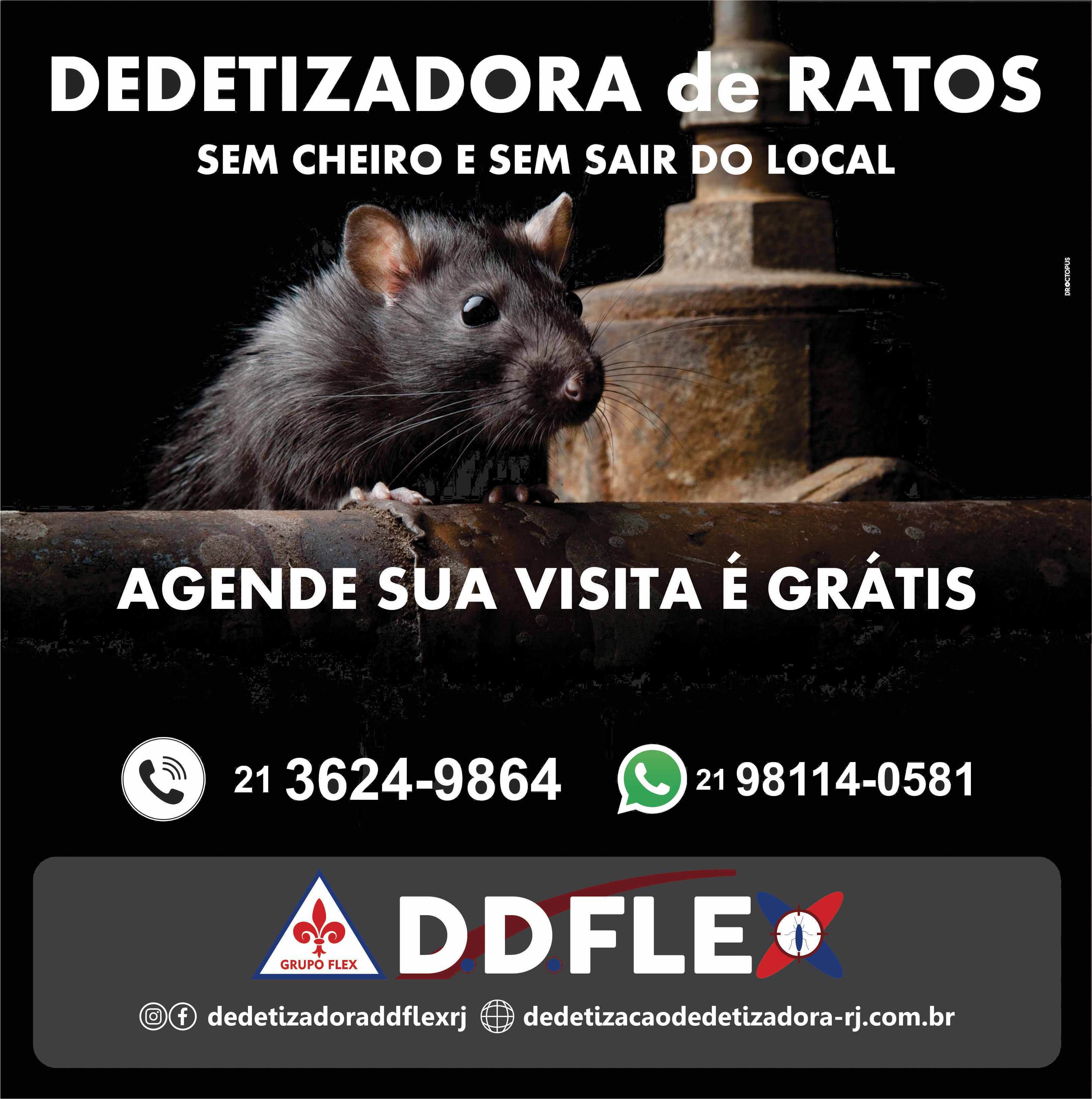 Desratização: Ratos e Ratazanas - RIO(Zona Norte)