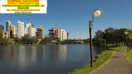 Londrina###Podas de cercas vivas, dedetização