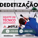 Dedetização Flex unidade Belo Horizonte no controle de pragas urbanas