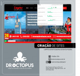Otimização de site SP | Dr Octopus desde 2008